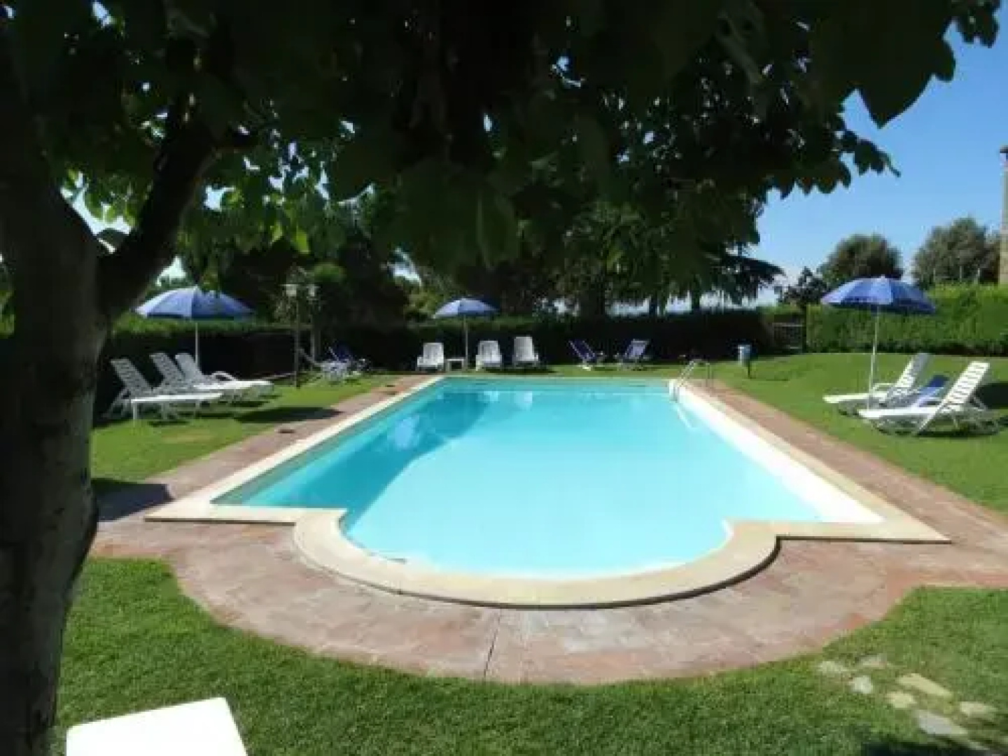 Oliveto di Teodora