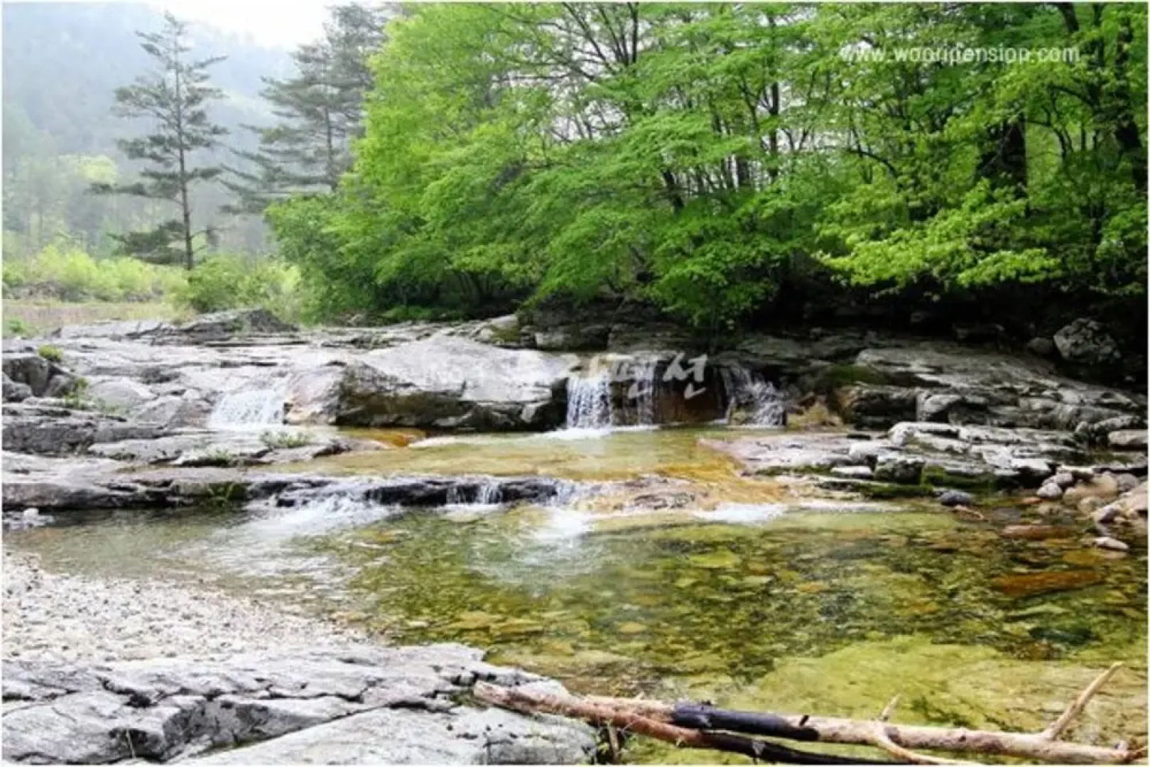 Jeongseon Click Pension
