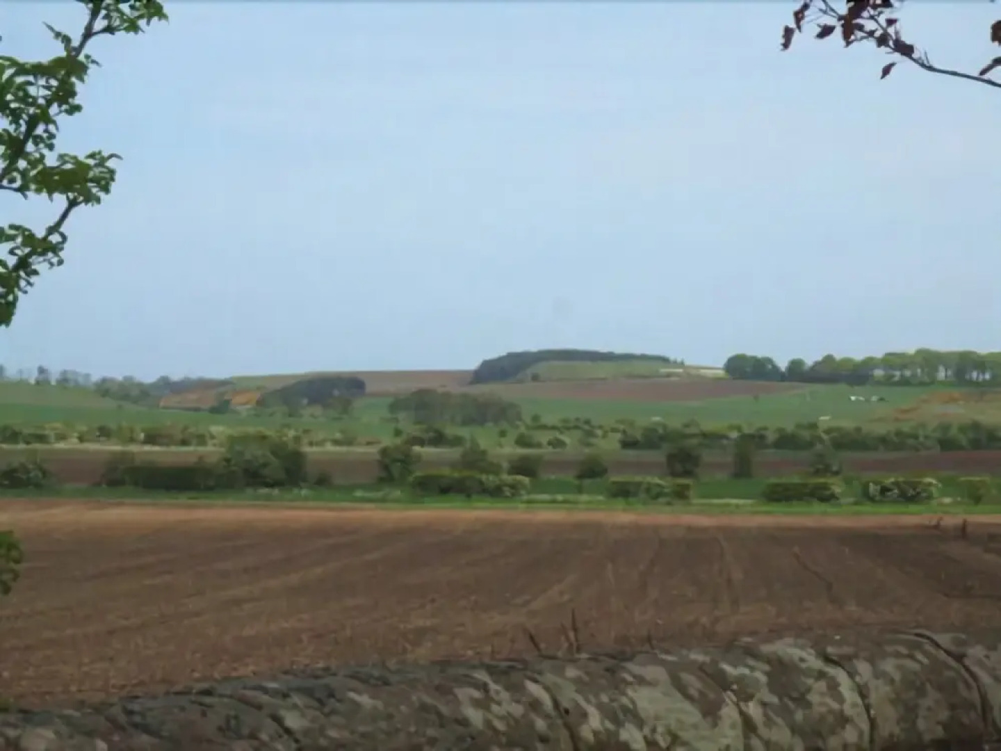 The Old School House