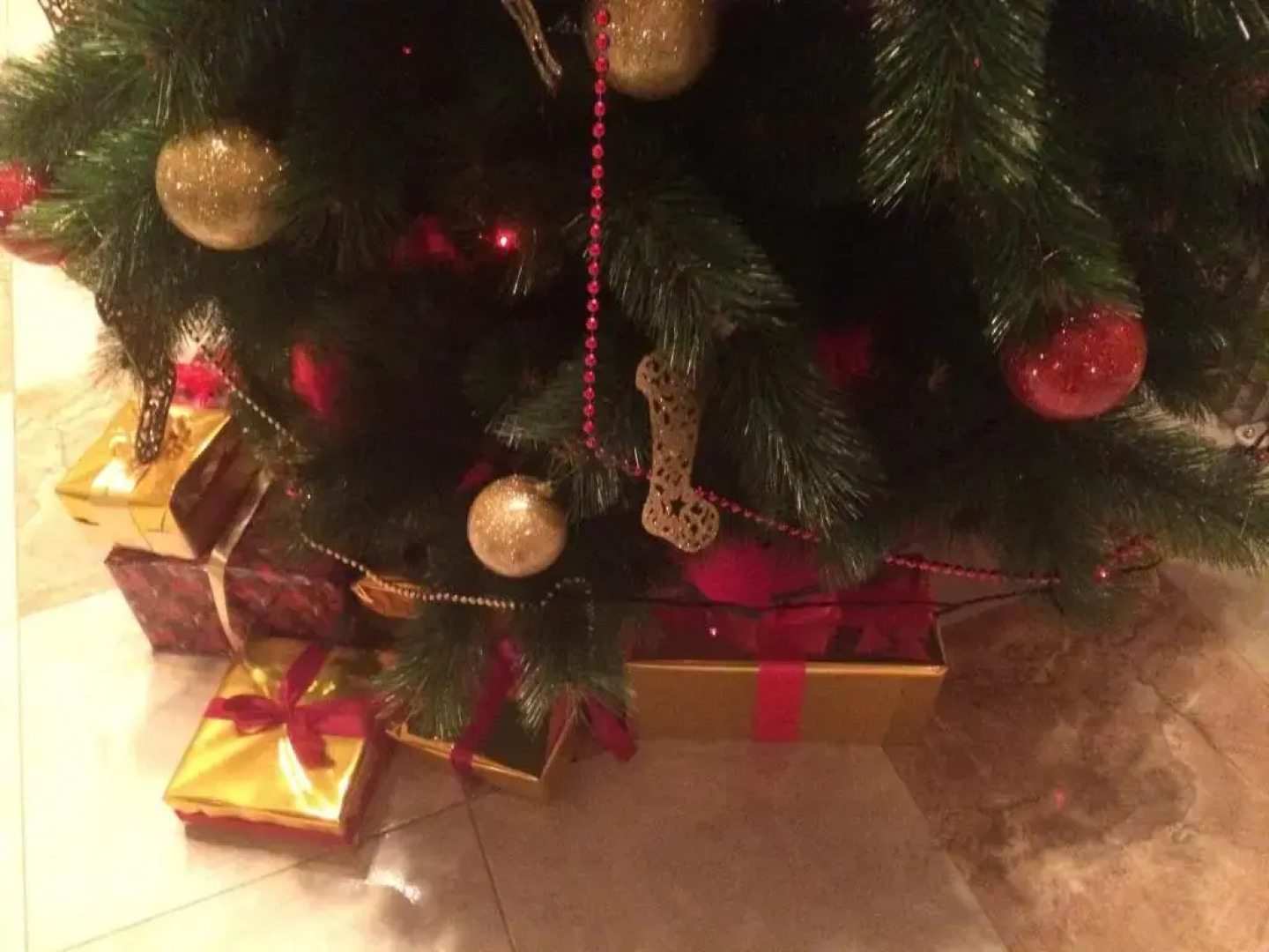 LucyTour Hotel Resort