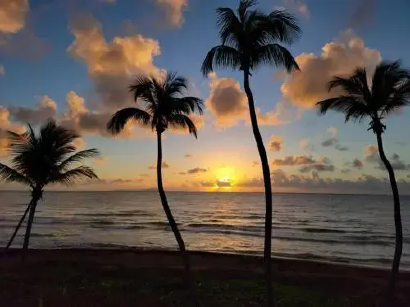 BV103 - Amazing Oceanfront Condo steps from beach