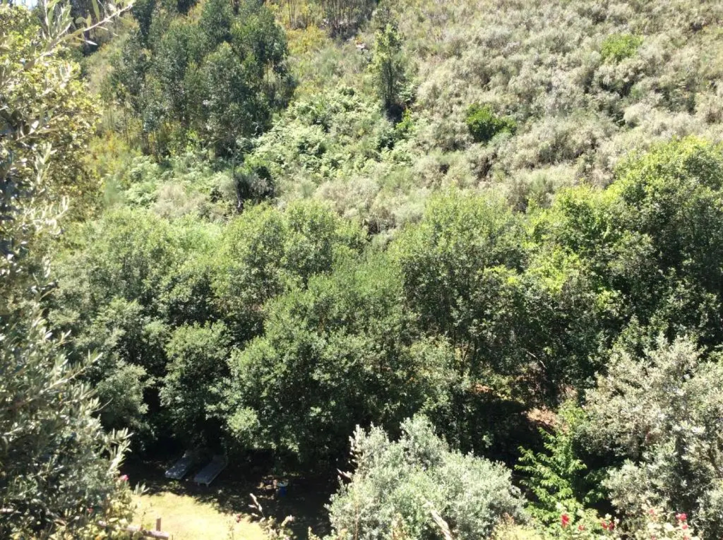 Guest Room B&B Agro-turismo Quinta da Fonte