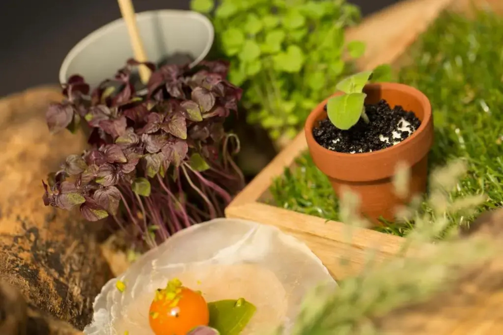 Landgoed Hotel & Restaurant Carelshaven