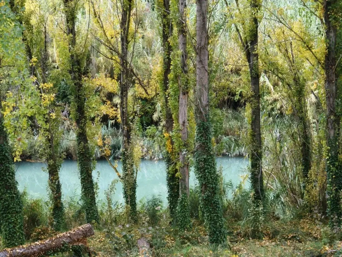 Rustic Cave House Situated in the Albacete Region