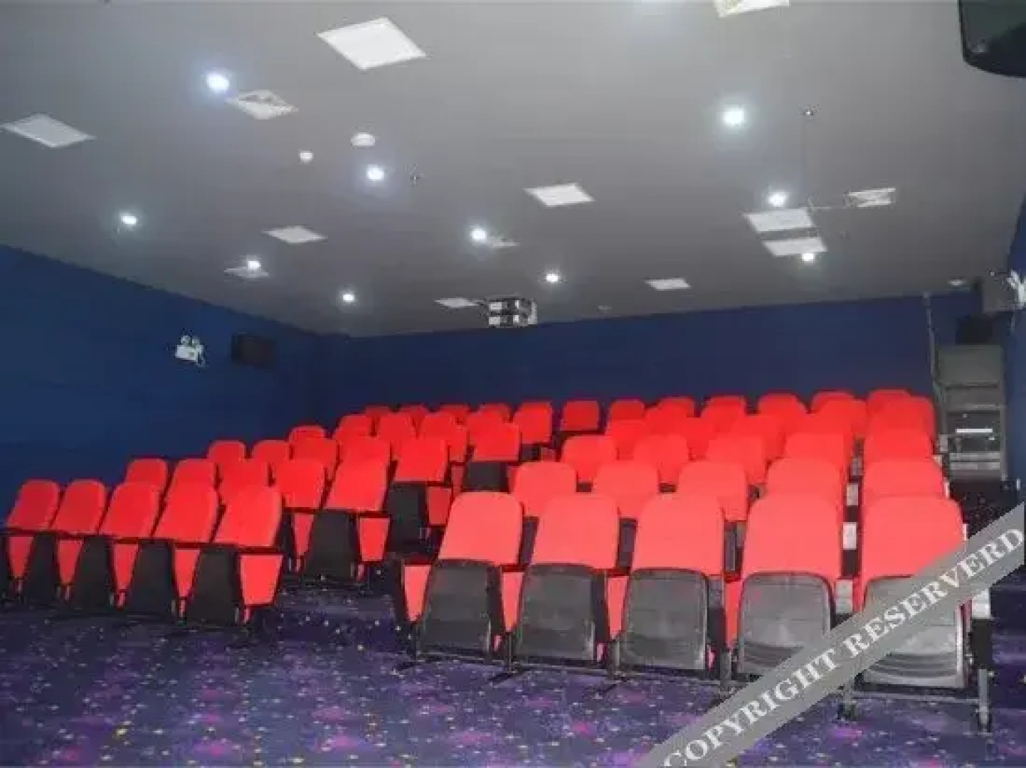 Haiwang Hongya Hot Spring Hotel