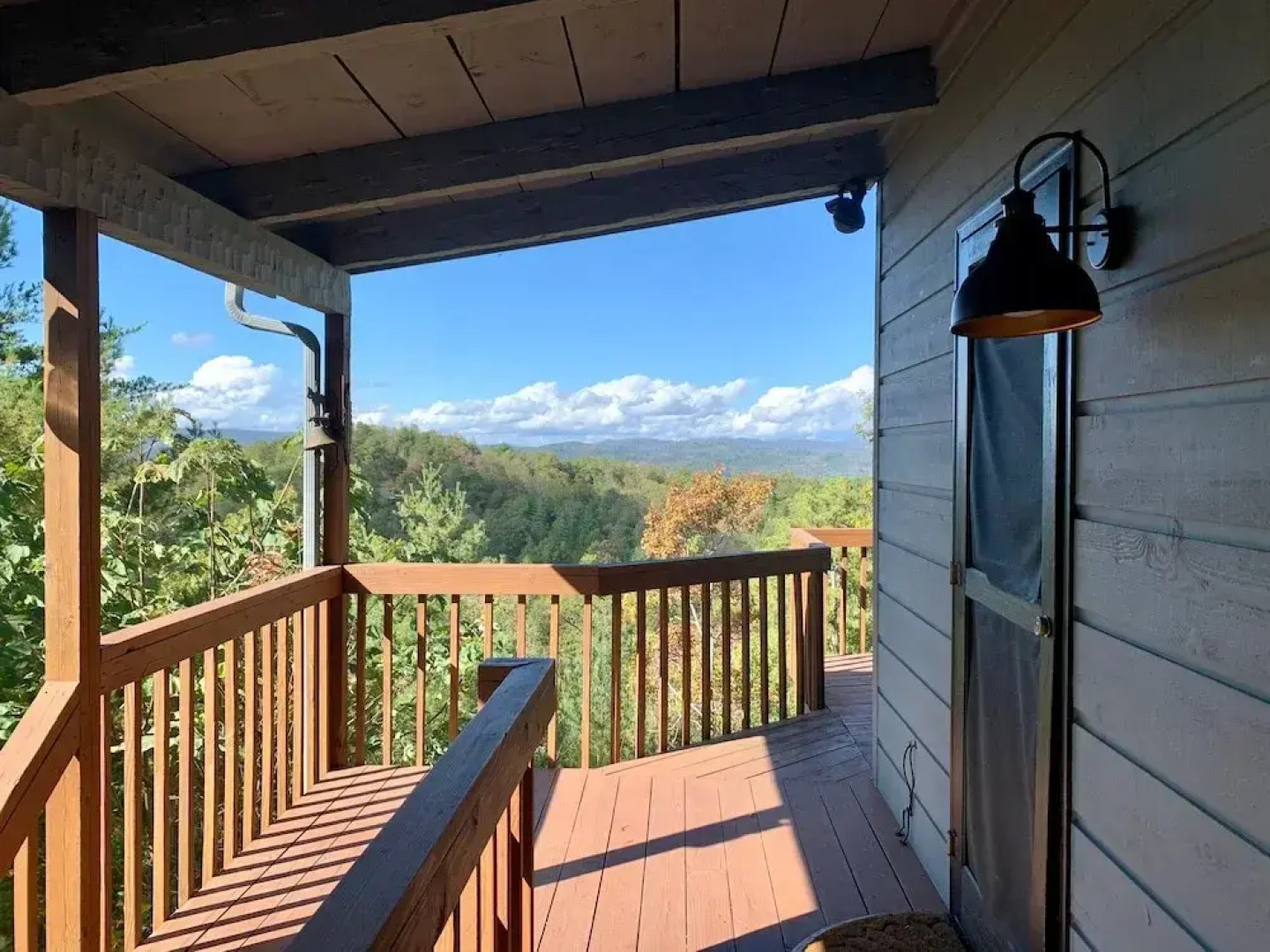 Horsin Around Tennessee