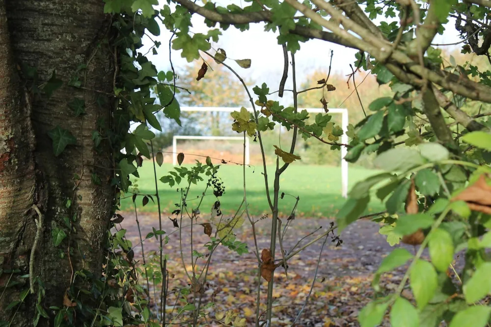 Gîte- La Ferme des Chataigniers