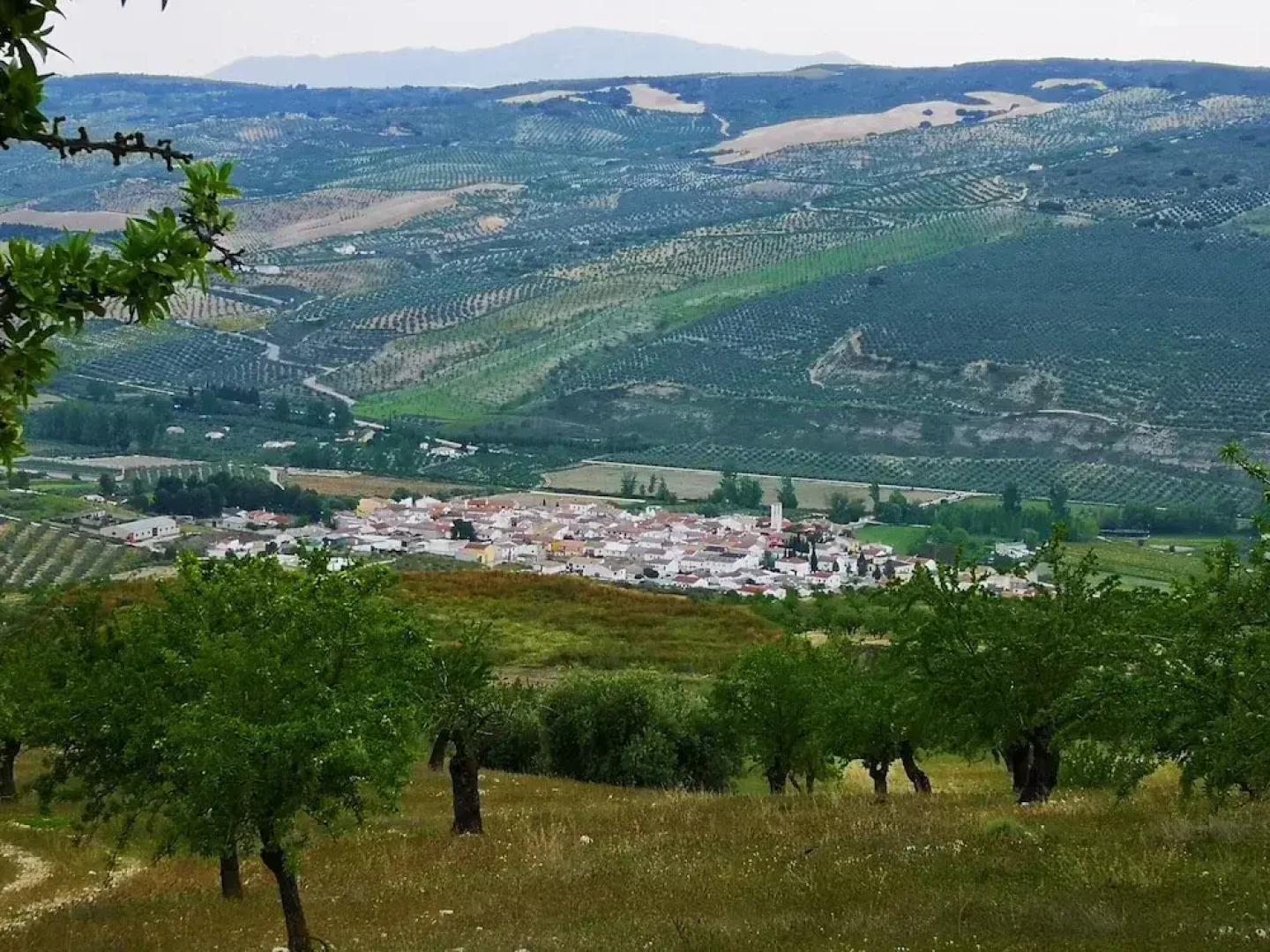 Lovely 10-bed Villa With Private Pool & Garden