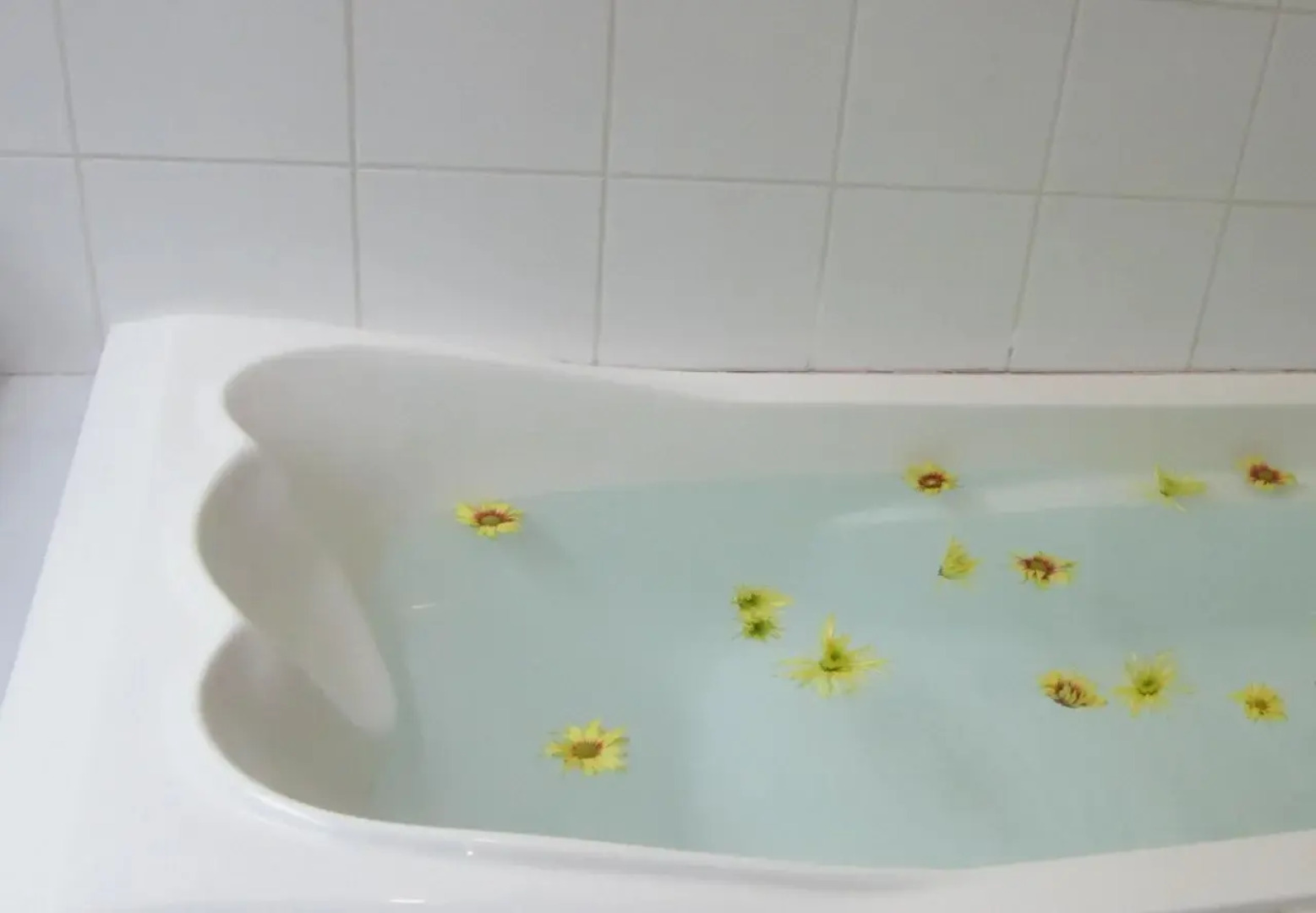 Oasis Country Resort