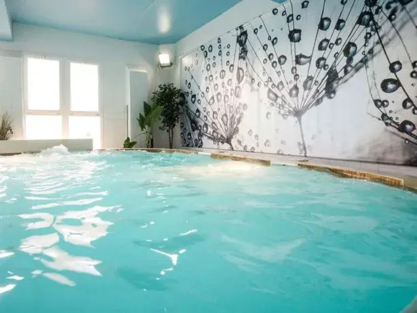 Excelsior Fun & Basic