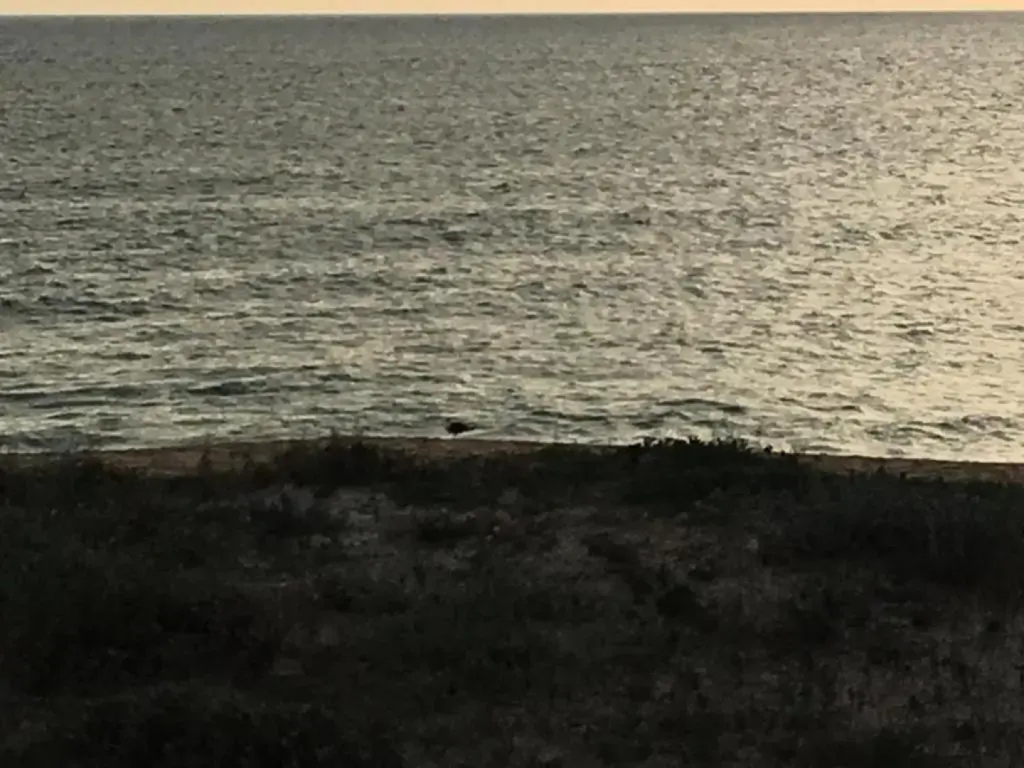 Apartamentos Barracuda