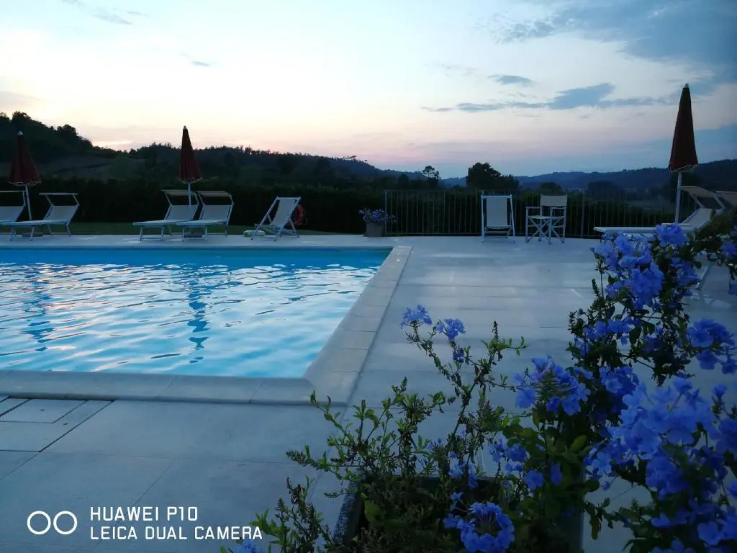 Azienda Agricola Buon Riposo