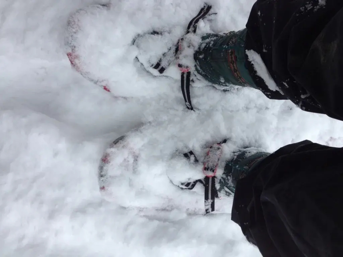 Thirteen Moons - Women's Wellness Retreat