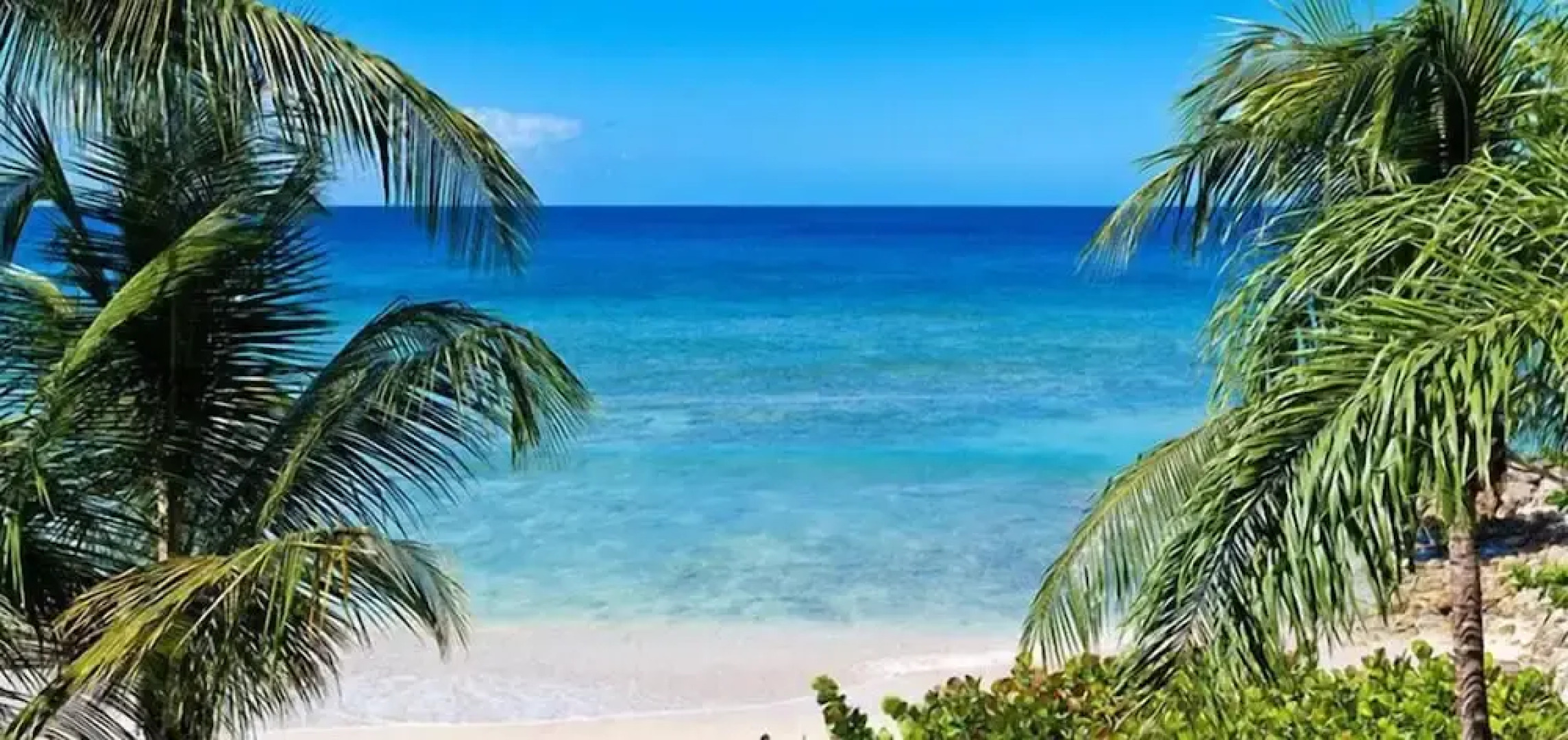 Schooner Bay 201 - Condo Flamboyant