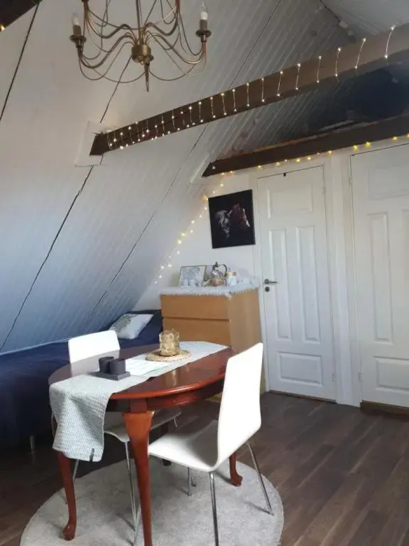 D'Lyon Stud and Sporthorses