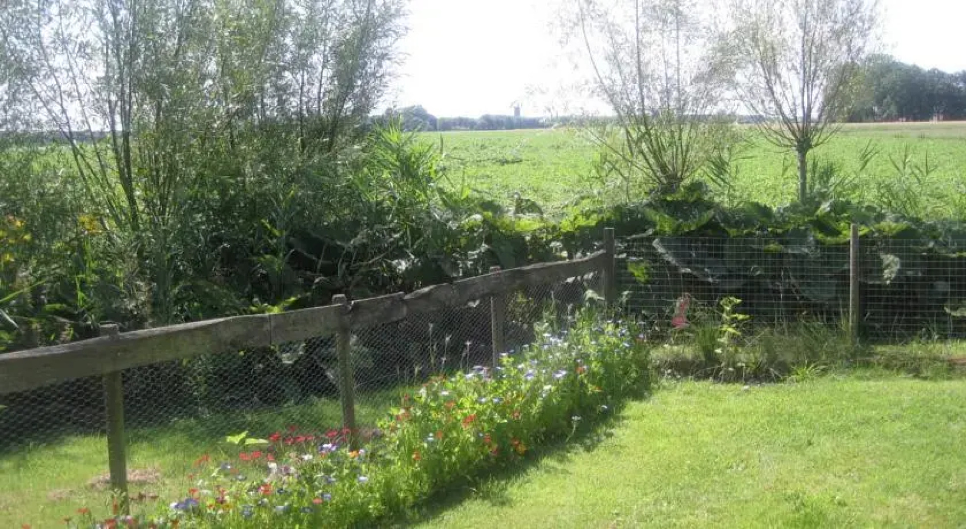 Bed & Breakfast "Gastenverblijf-FINKUM"