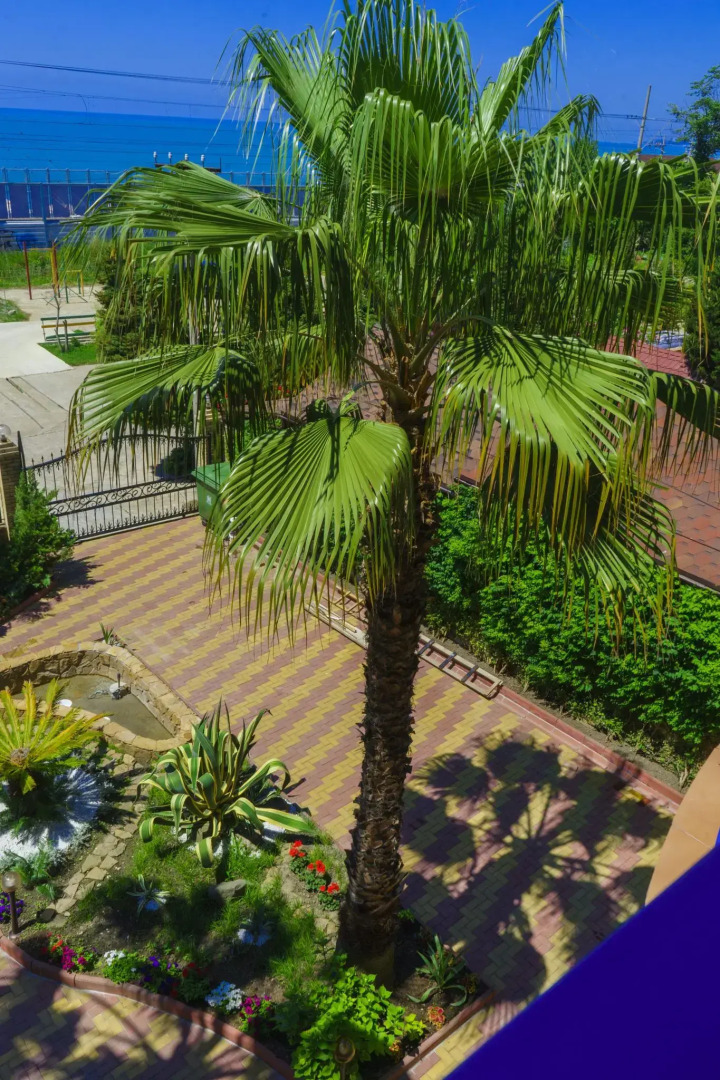 Отель Штиль