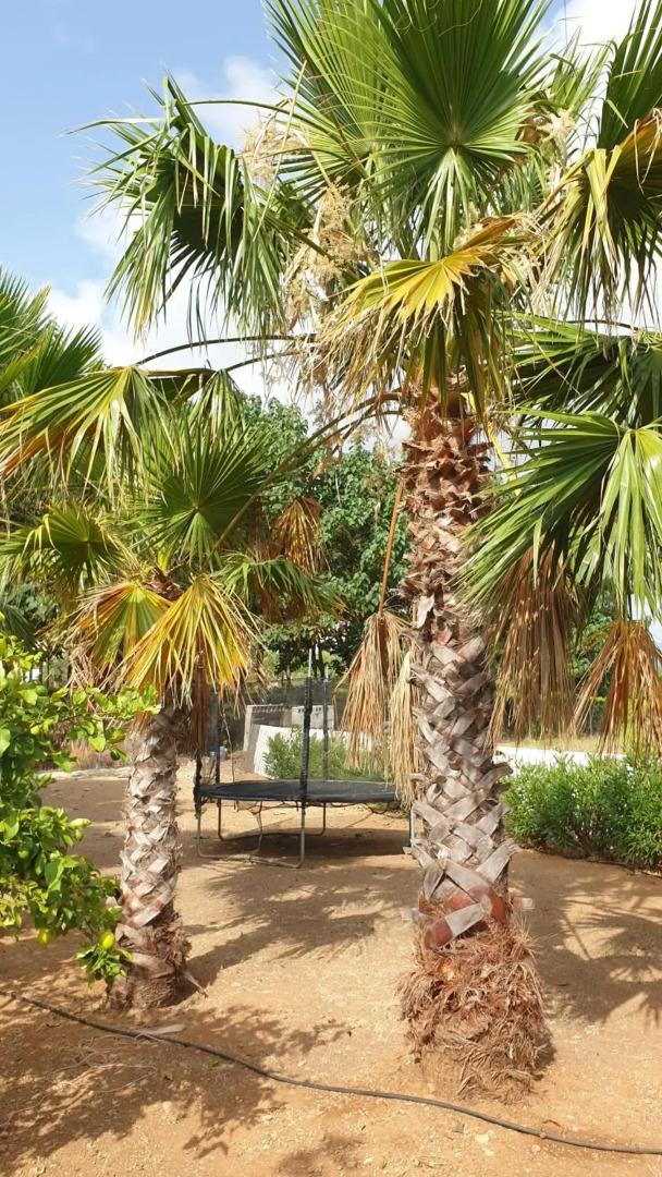 Casa on large property with private Pool