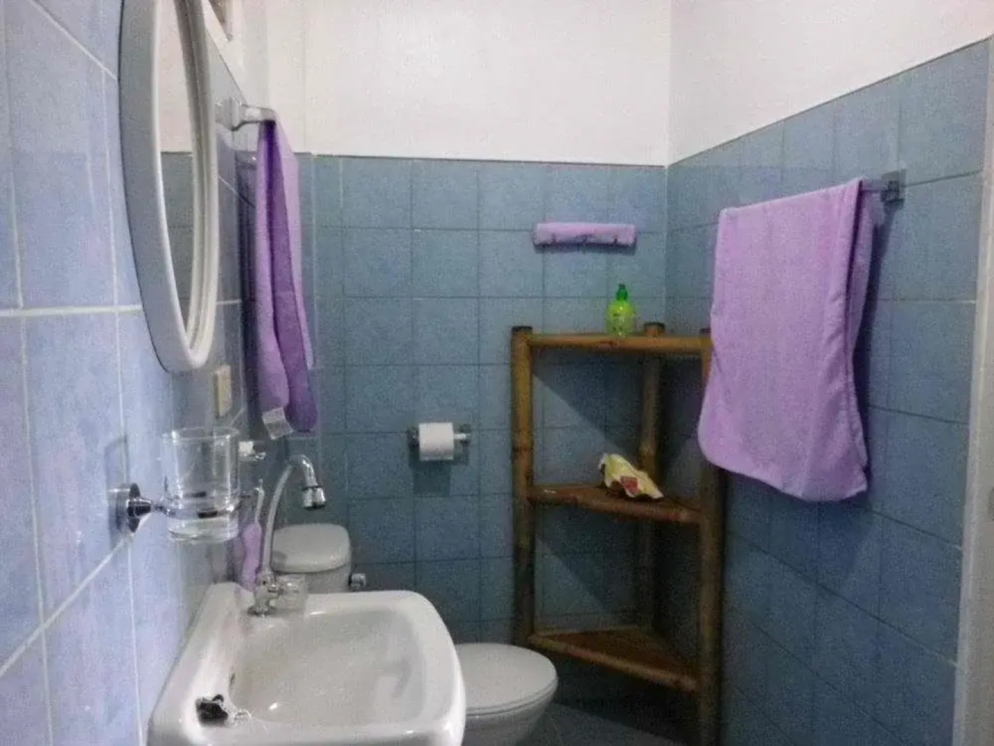 Bohol Lahoy Dive Resort