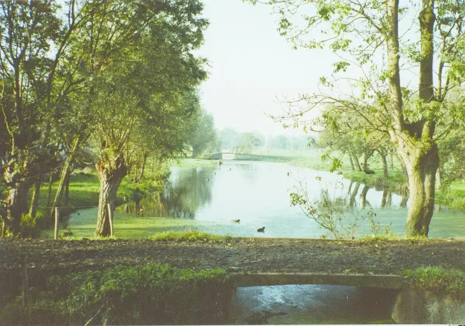 de Boomgaard Groene Hart