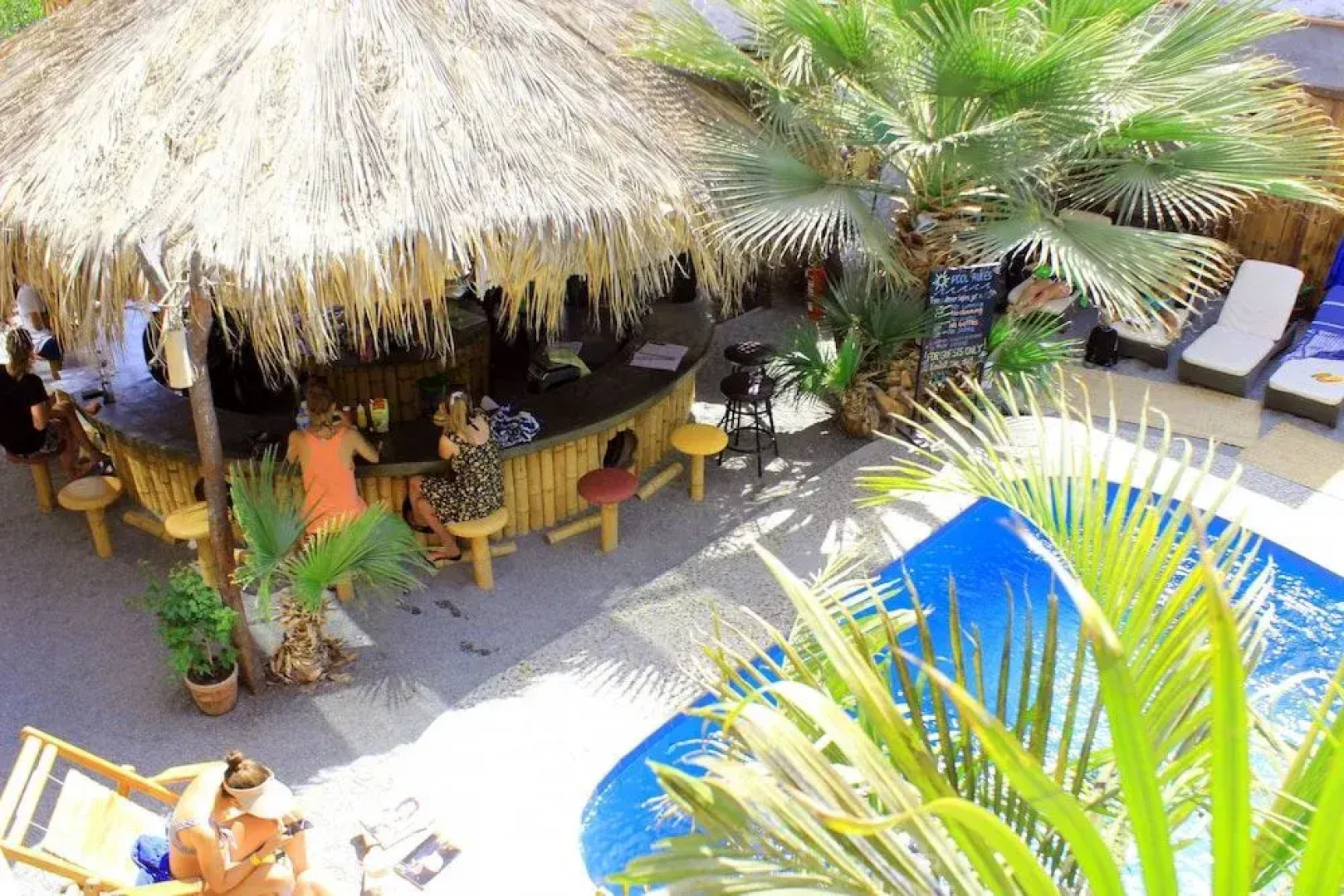 Bananas Adventure Hostel