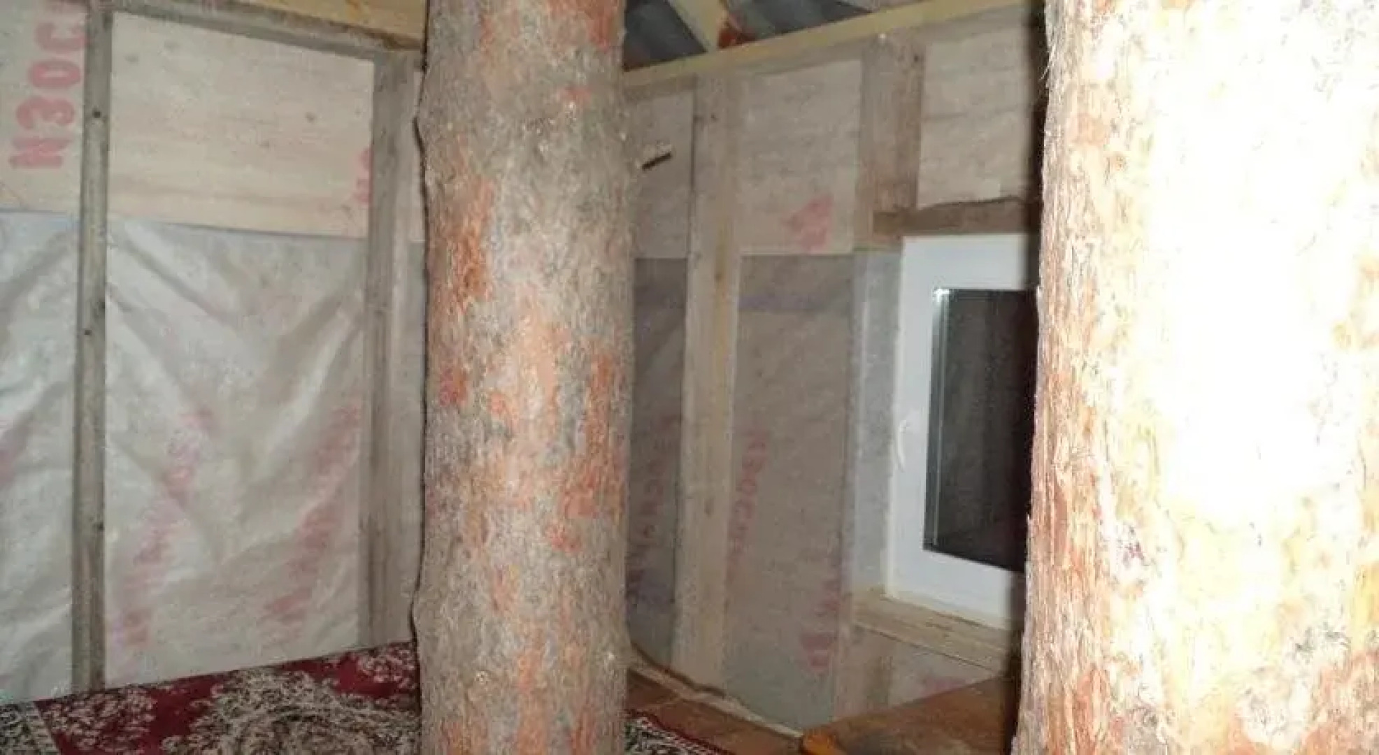 Хостел Ясень