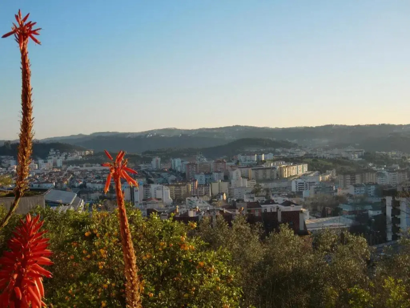 CSI Coimbra & Guest House