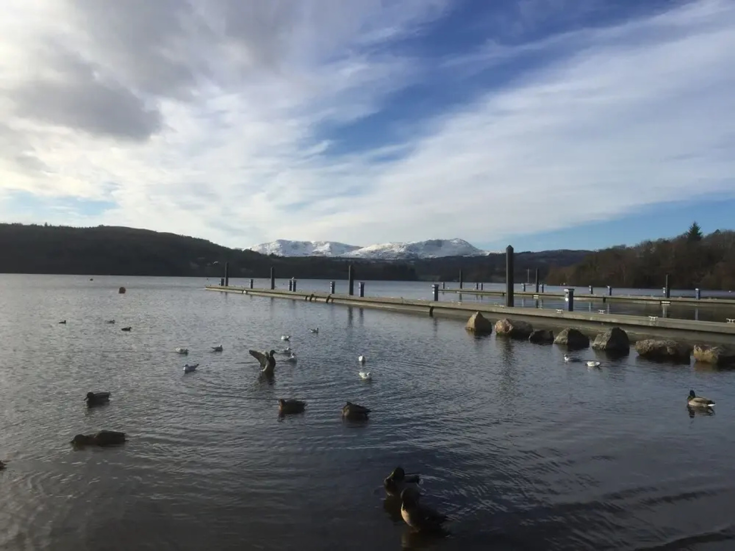 Tiggywinkle Beck Lodge