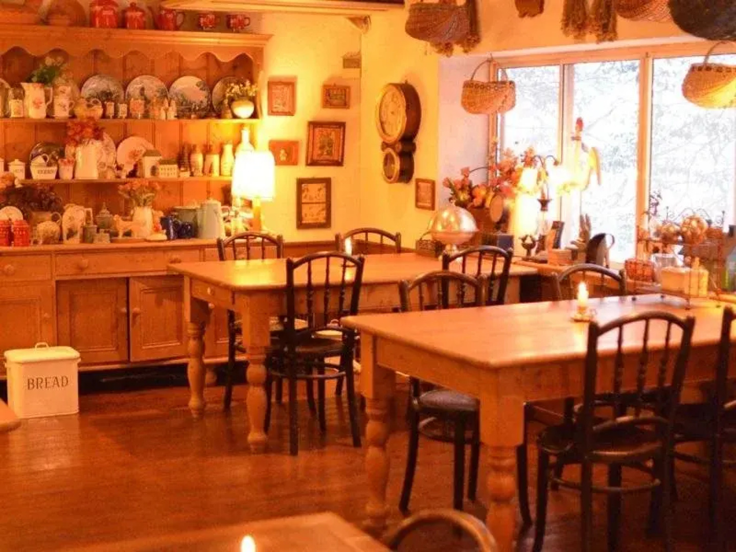 Pension & Cafe Cruise