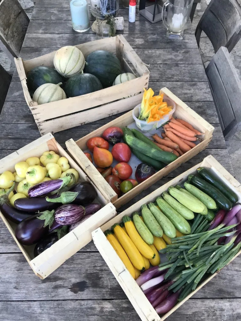 Domaine du Clos d'Alari