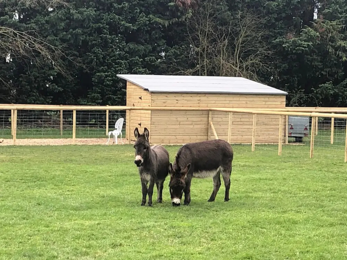 Luxury Glamping Tent