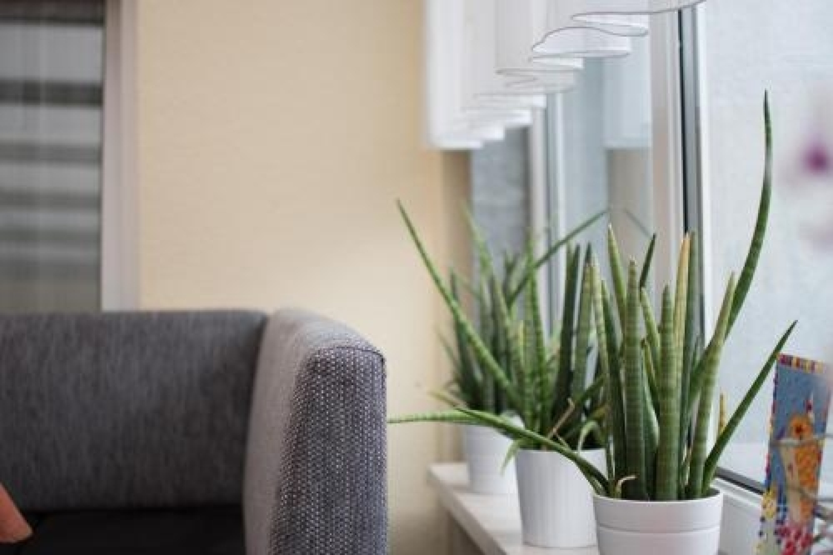 Pension Regina Inh. Monique Kluge