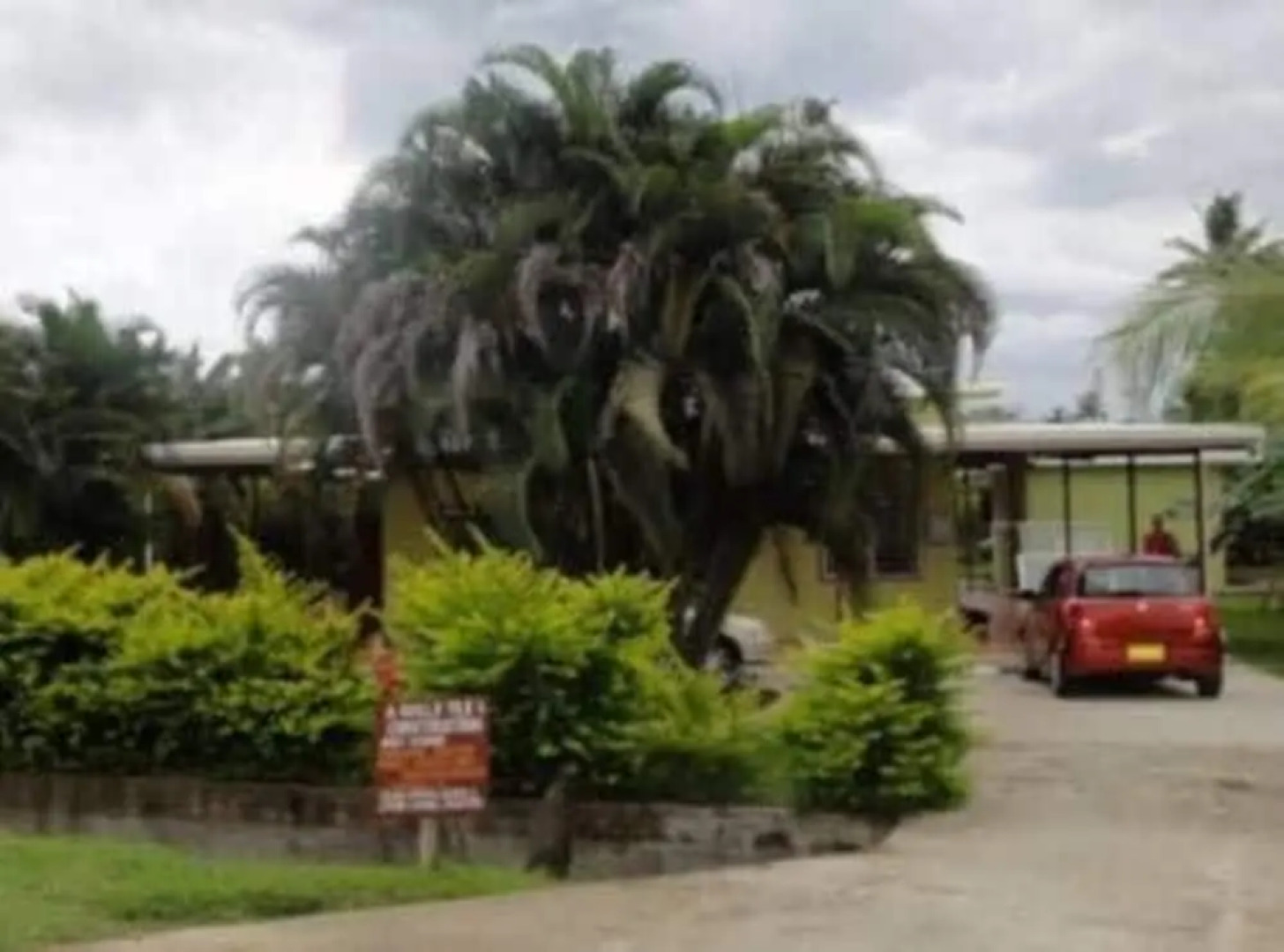 Golden Palms Retreat