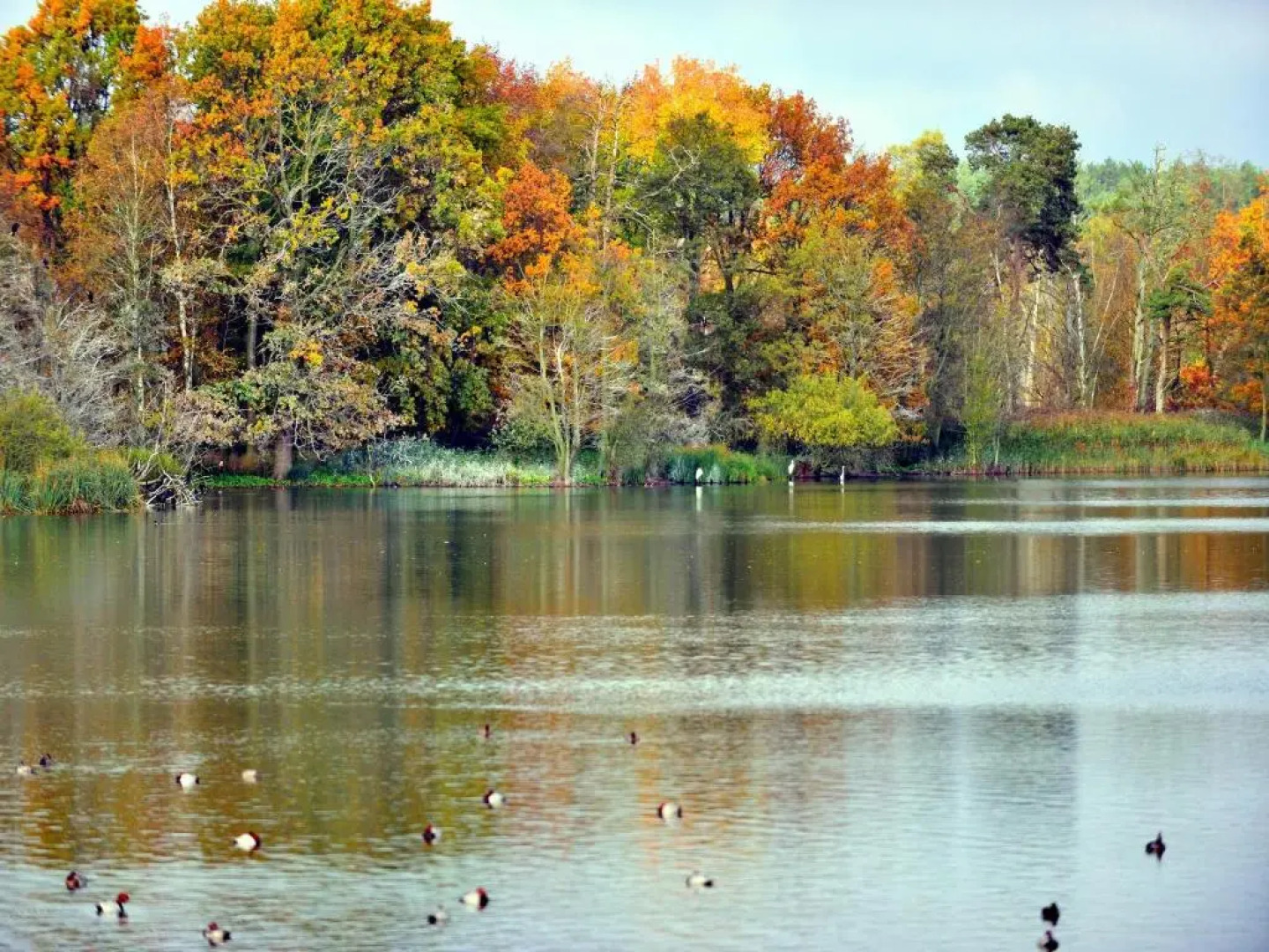Nationalparkhotel Kranichrast
