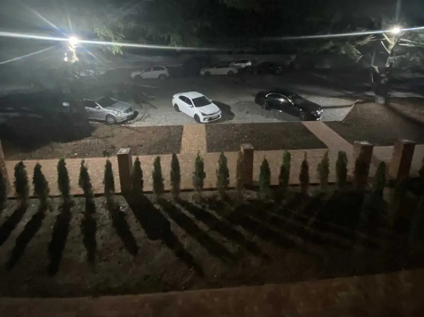 Арт (Цандрипш)