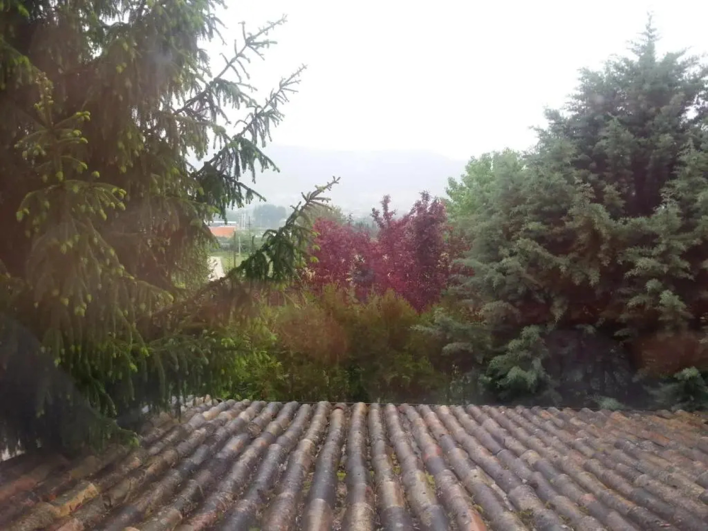 Il GIARDINACCIO Agriturismo