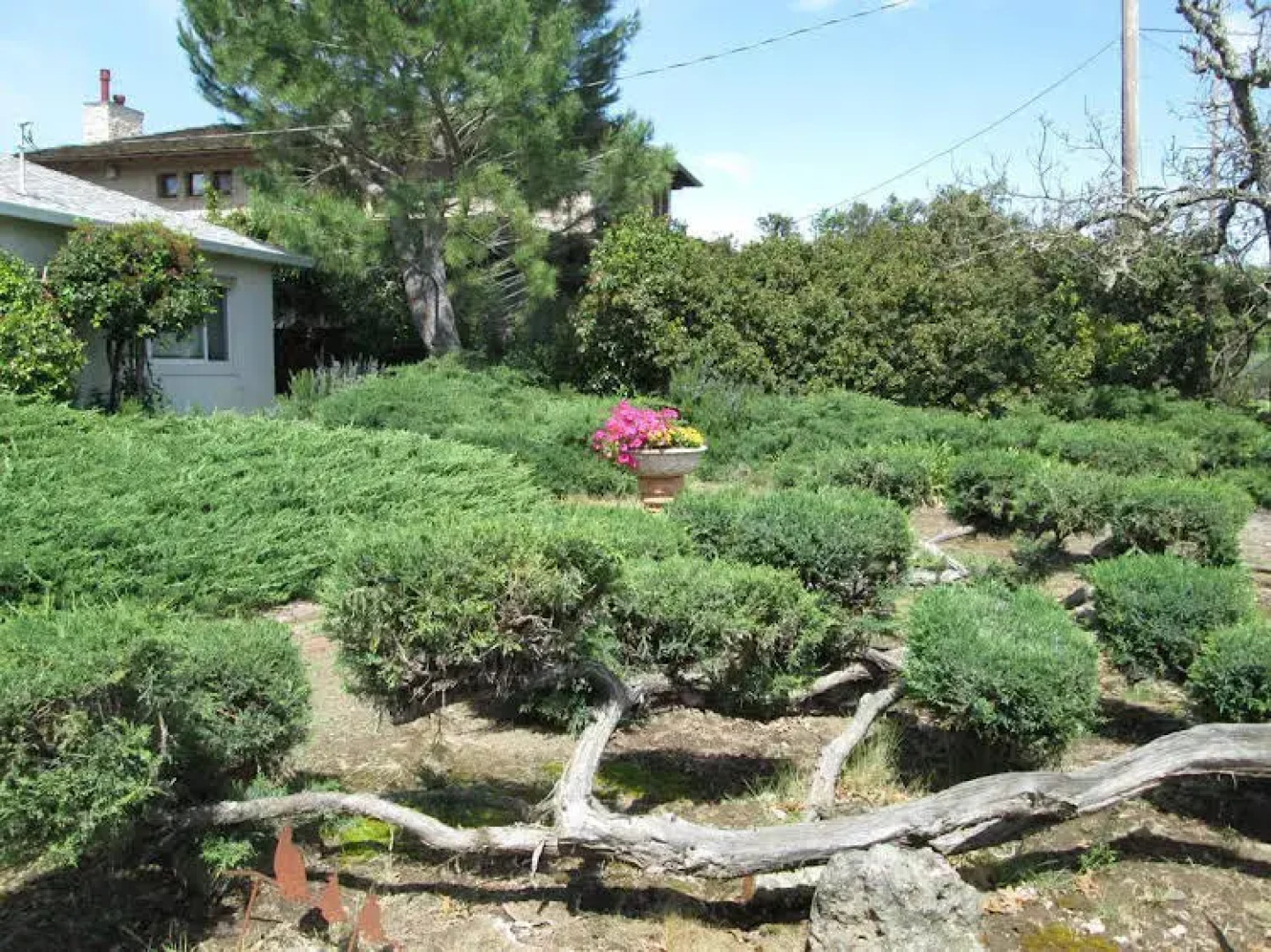 Judys Bed and Breakfast