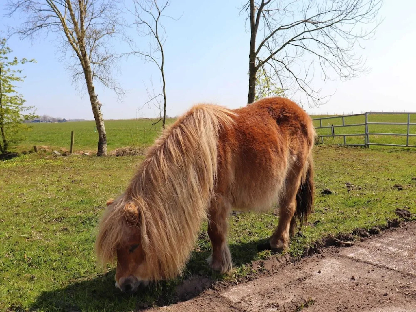 Chalet With Hot Tub, Suwald