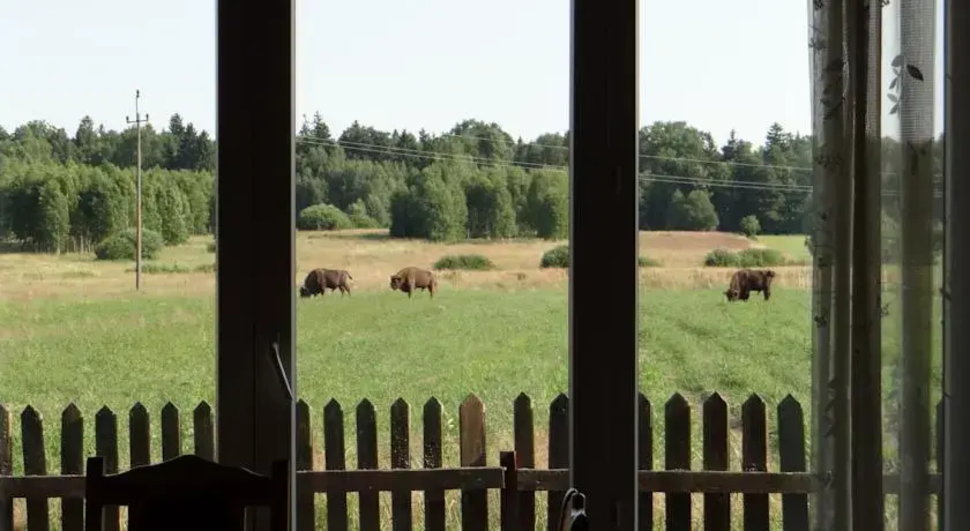 Apartamenty i Galeria Kresy