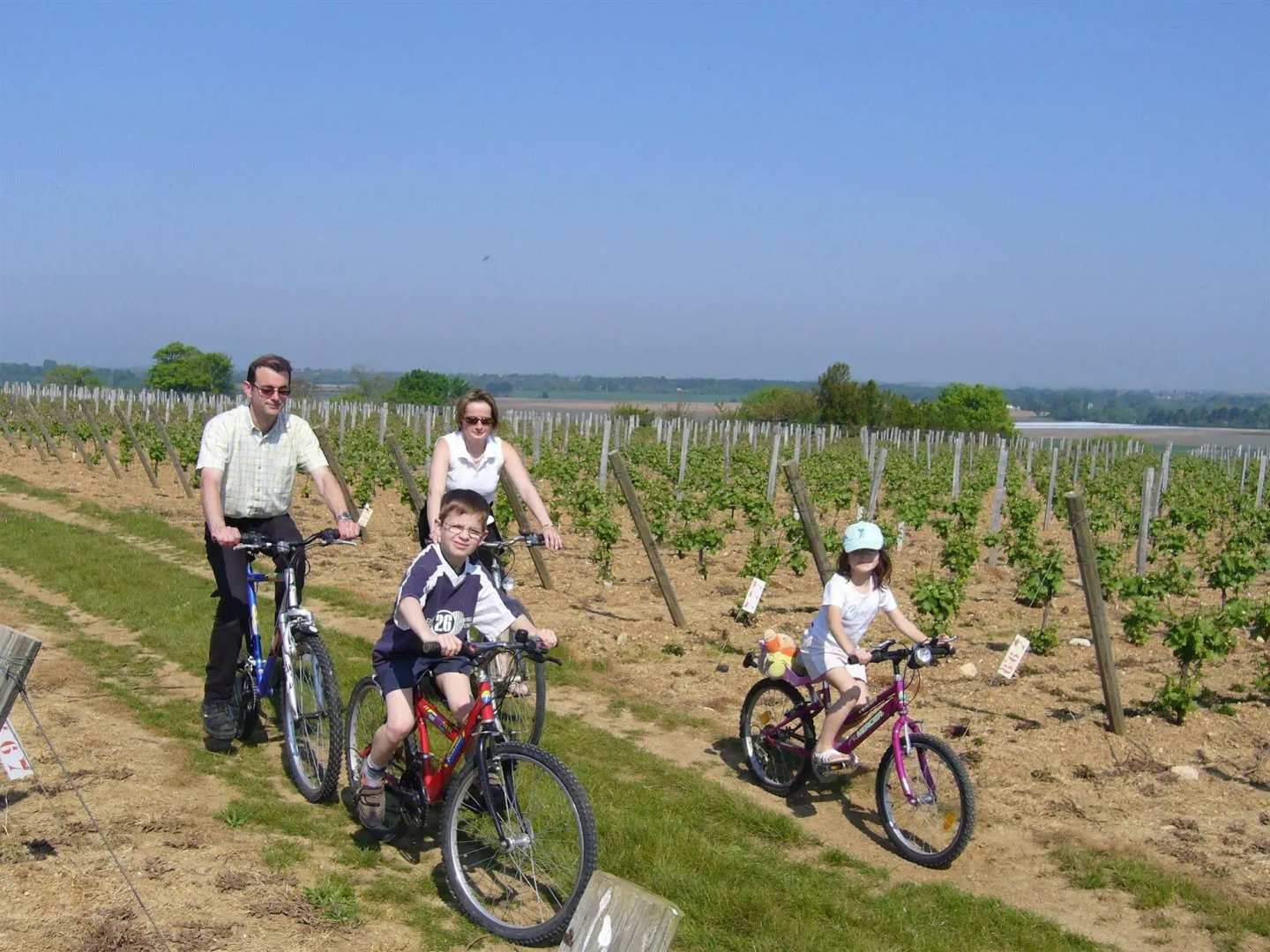 Chateau De La Sebrandière