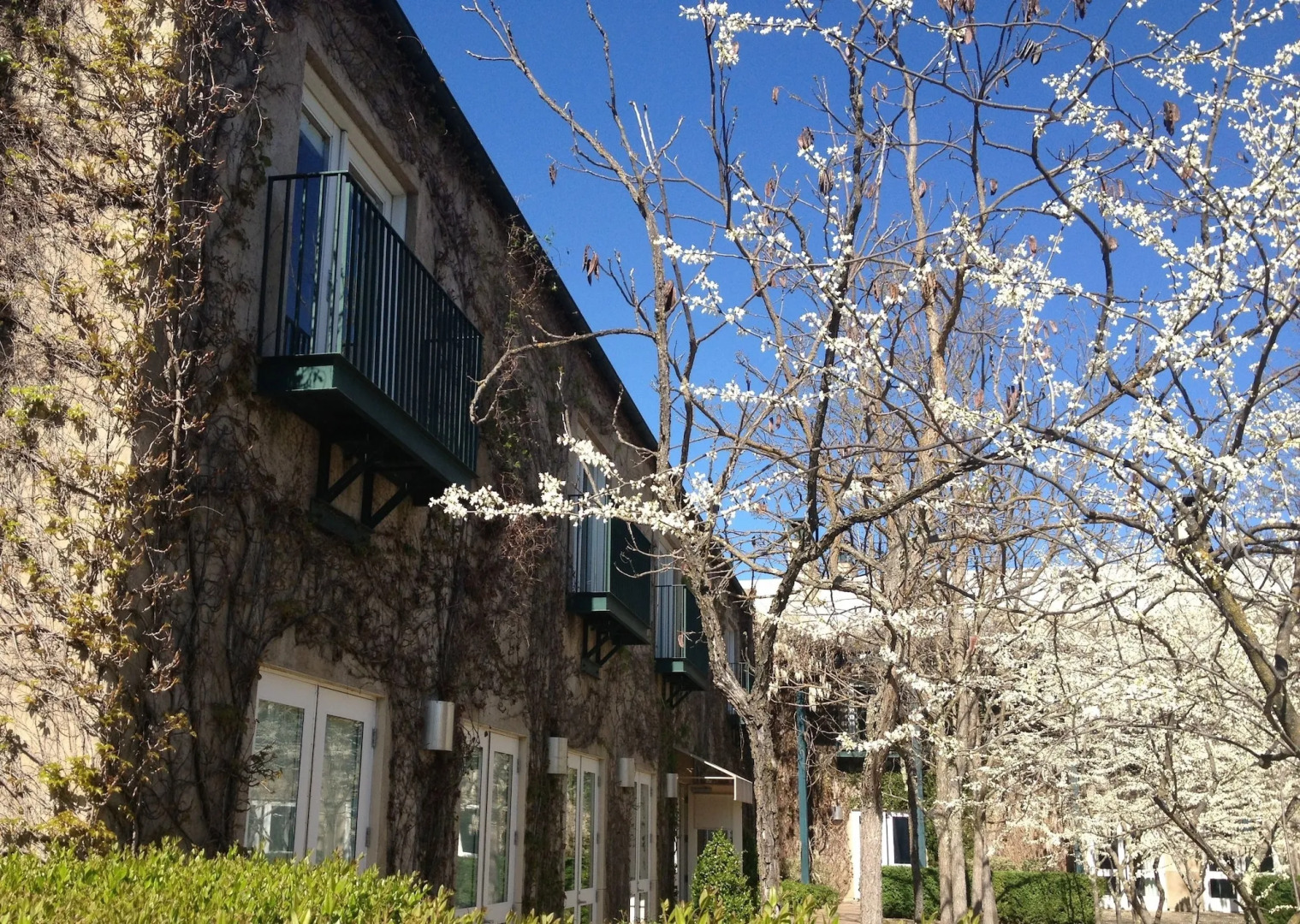 Southbridge Napa Valley