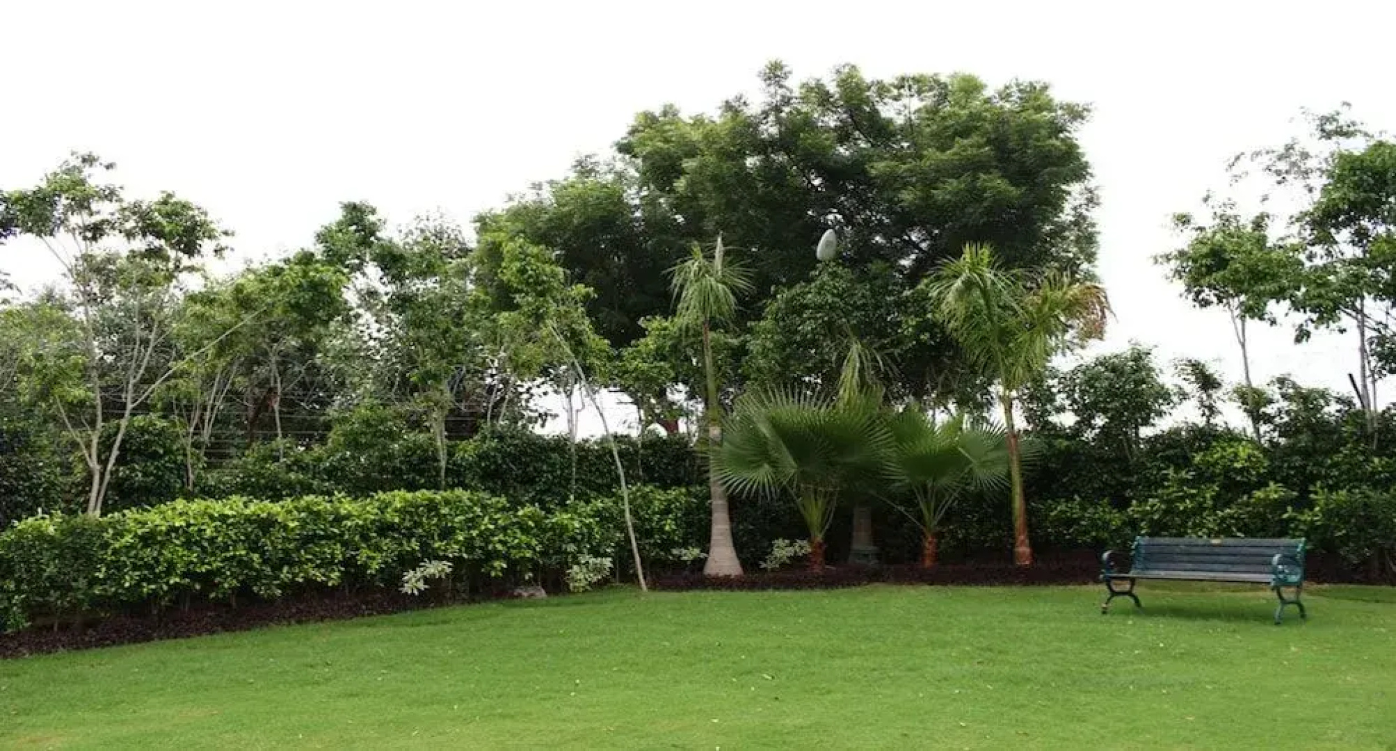 Nidhivan Hotels & Resorts