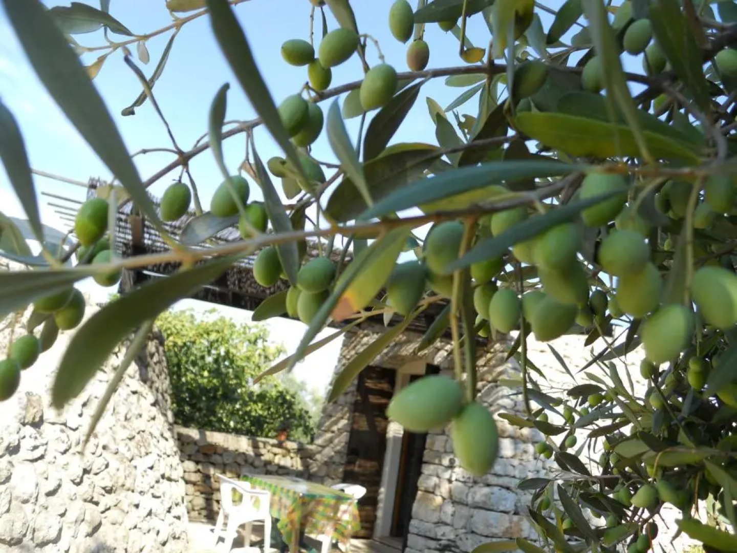 Agriturismo Specchiarussa