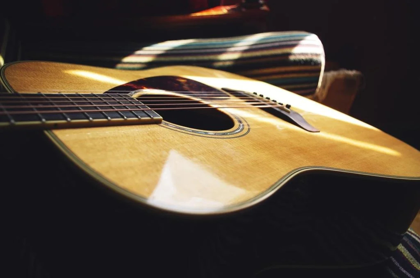 Migrant Bird Youth Hostel