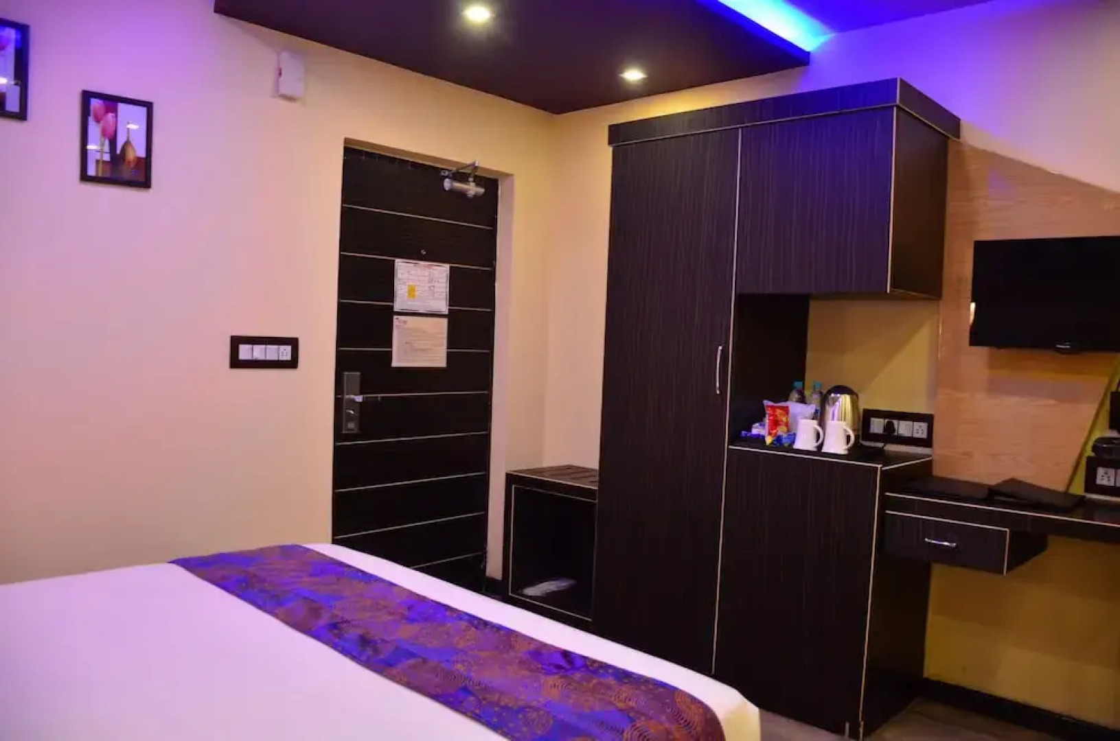 Dolphin Chocolate Inn