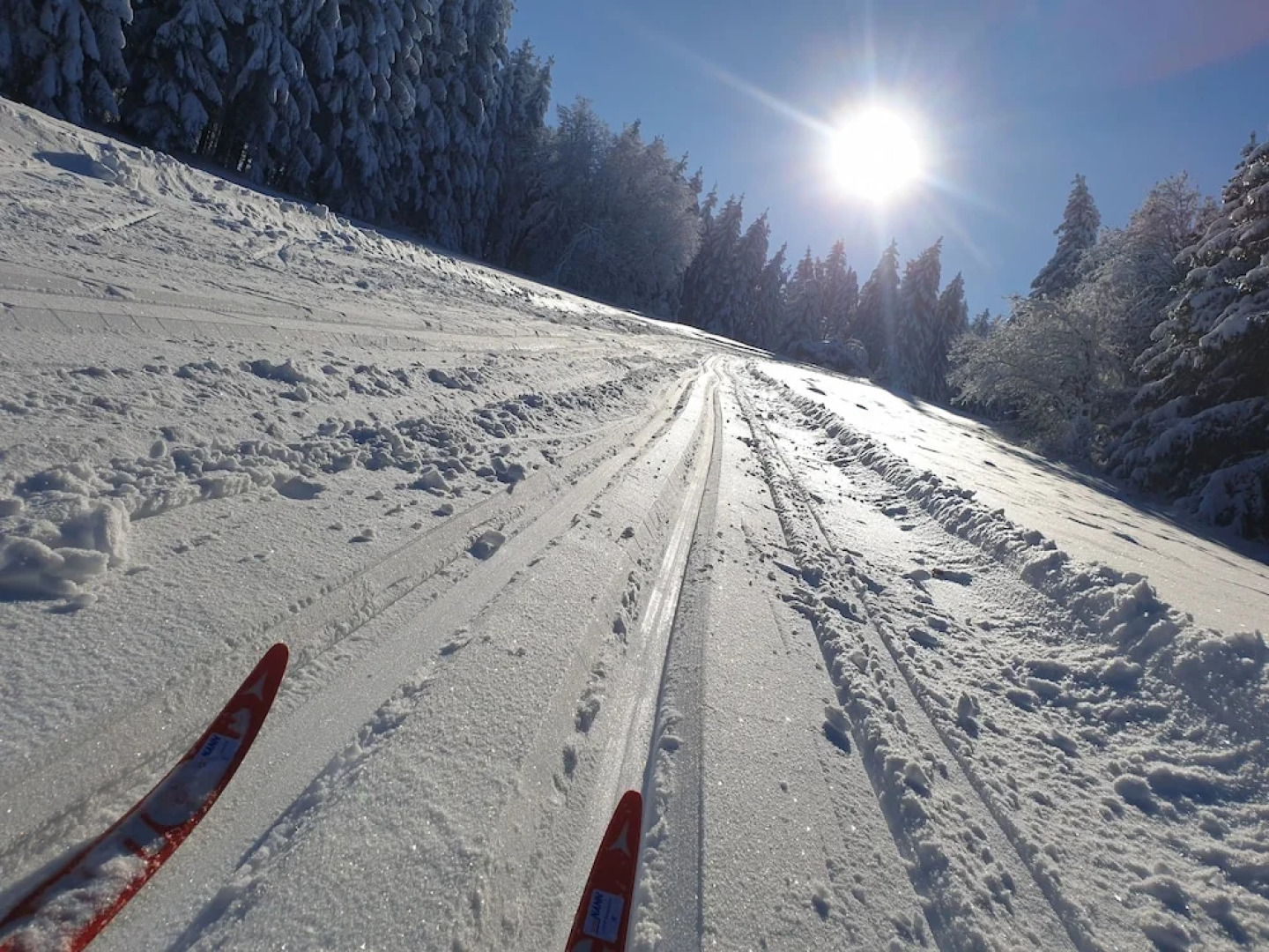 Hotel Schlossberg Wehingen