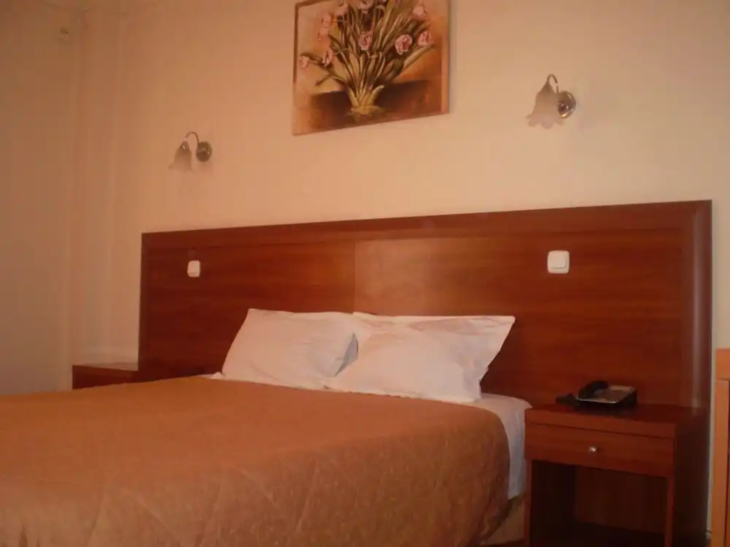 Hotel Telis