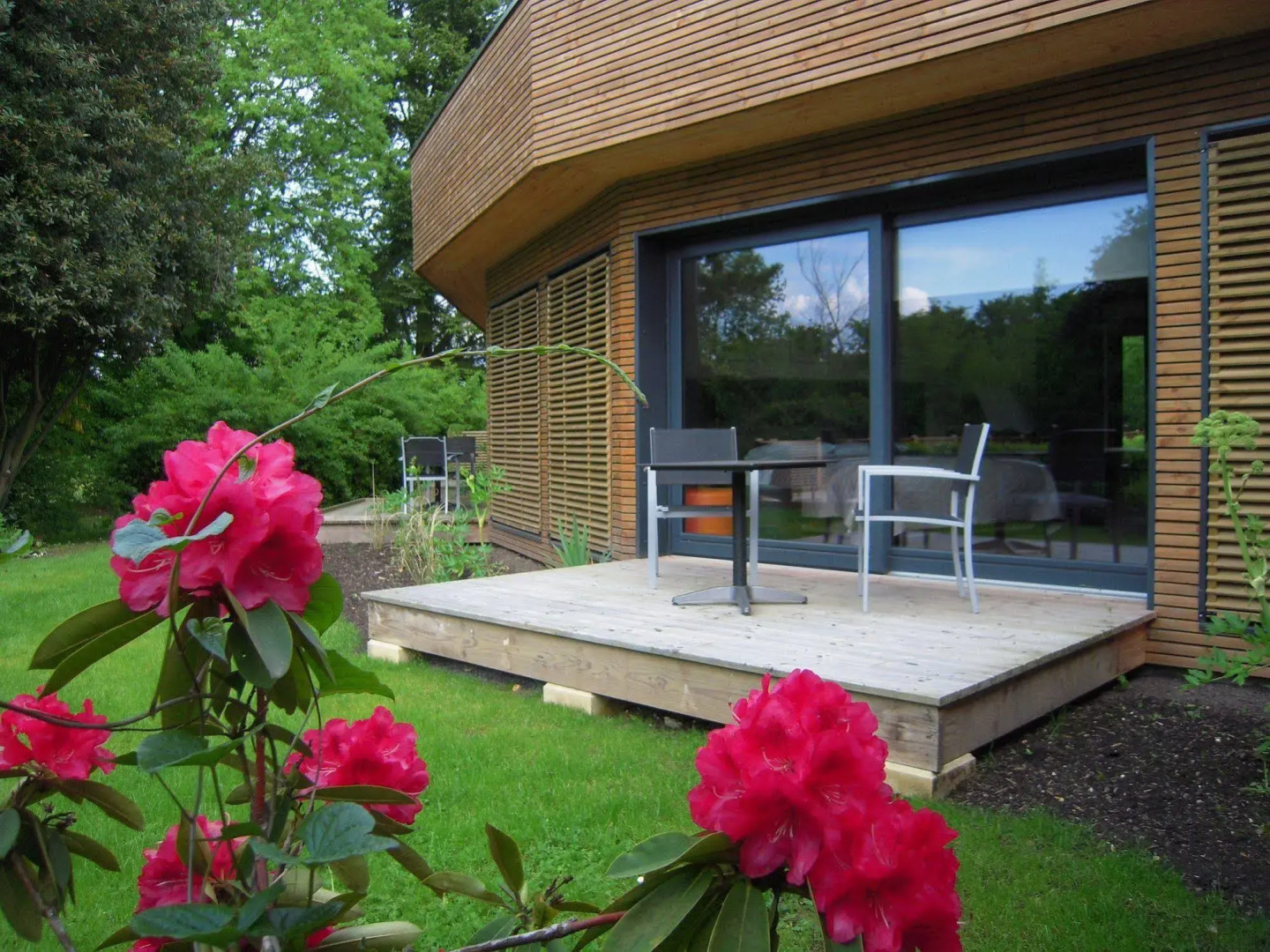 Le Petit Coq Aux Champs