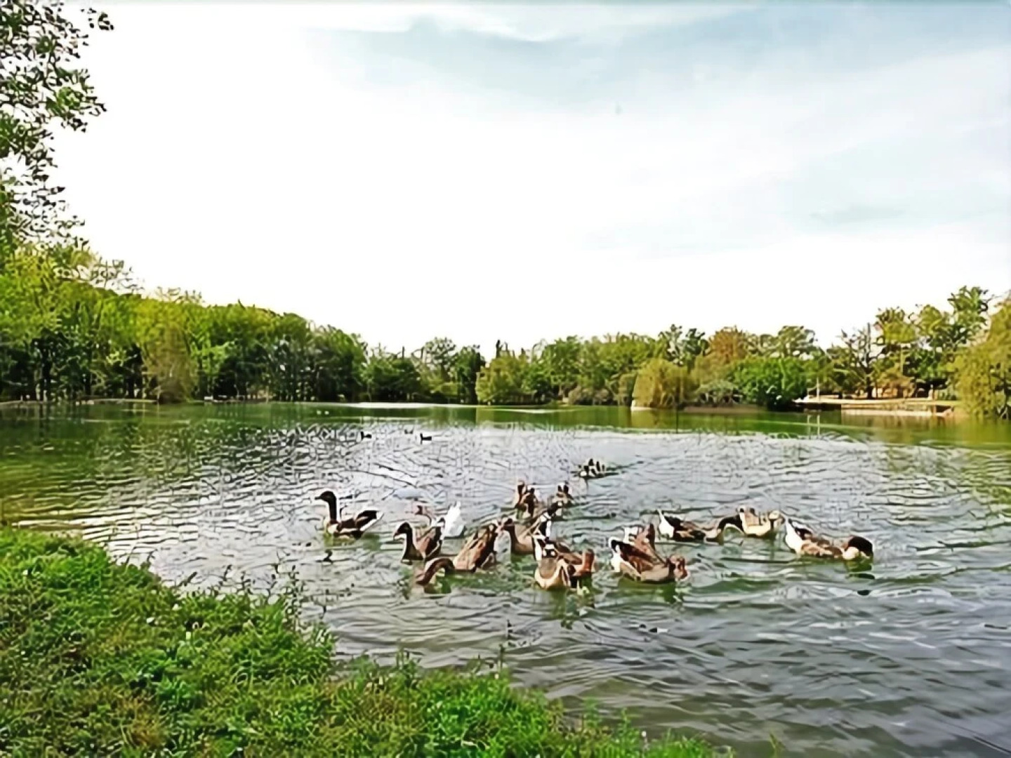Logis Hostellerie de lAuberge de LÉtang Bleu