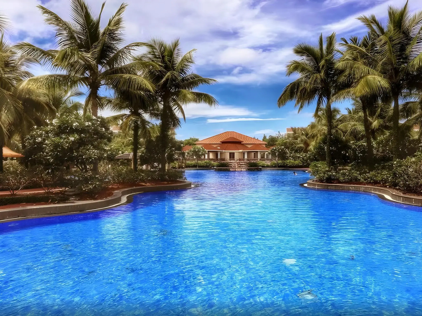 Bonjour Bonheur Ocean Spray